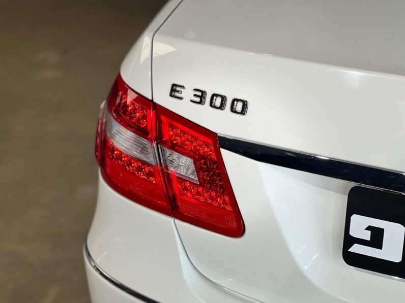 
								2010 Mercedes-Benz E-Class E300 Avantgarde full									