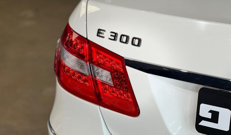 
								2010 Mercedes-Benz E-Class E300 Avantgarde full									